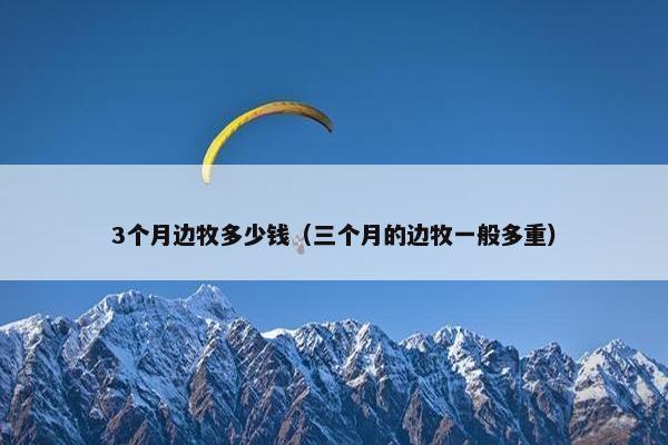 3个月边牧多少钱（三个月的边牧一般多重）