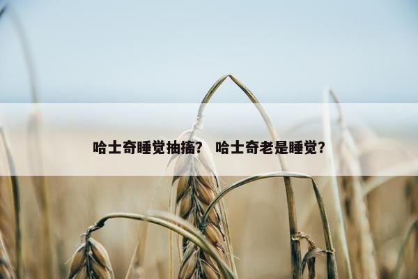 哈士奇睡觉抽搐? 哈士奇老是睡觉?