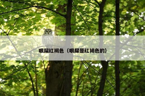 眼屎红褐色（眼屎是红褐色的）