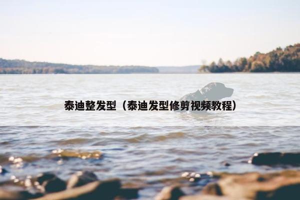 泰迪整发型(泰迪发型修剪视频教程)