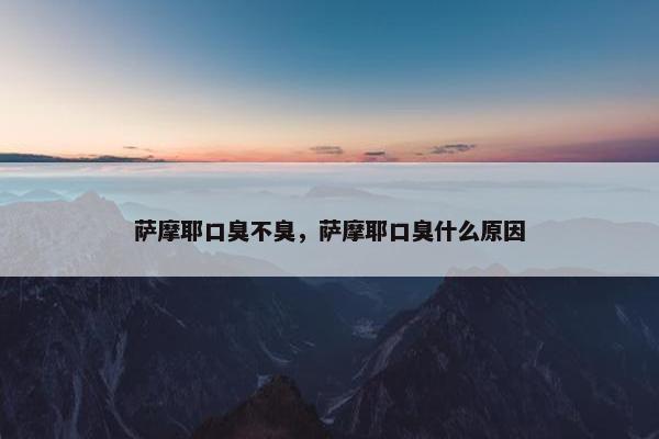 萨摩耶口臭不臭，萨摩耶口臭什么原因