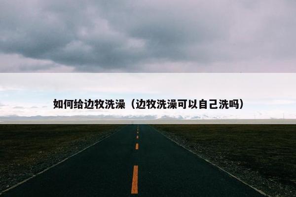 如何给边牧洗澡（边牧洗澡可以自己洗吗）