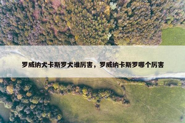 罗威纳犬卡斯罗犬谁厉害,罗威纳卡斯罗哪个厉害 罗威纳犬卡斯罗犬谁厉害,罗威纳卡斯罗哪个厉害