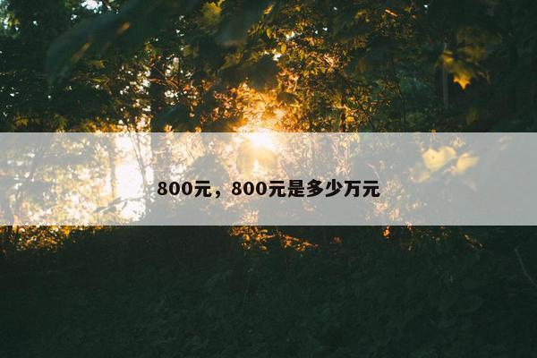 800元，800元是多少万元