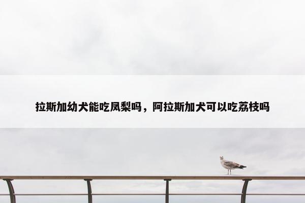 拉斯加幼犬能吃凤梨吗，阿拉斯加犬可以吃荔枝吗
