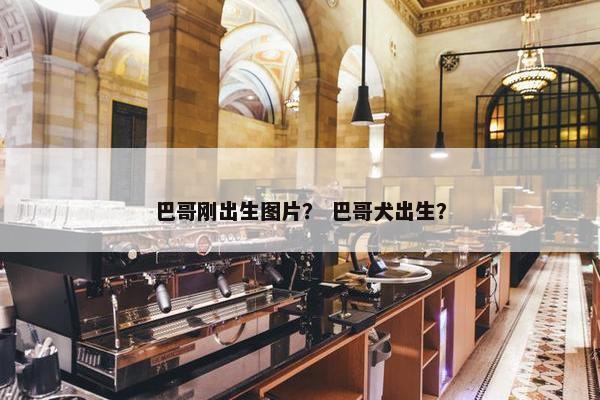 巴哥刚出生图片? 巴哥犬出生?