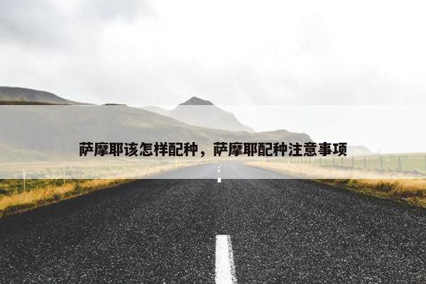 萨摩耶该怎样配种，萨摩耶配种注意事项