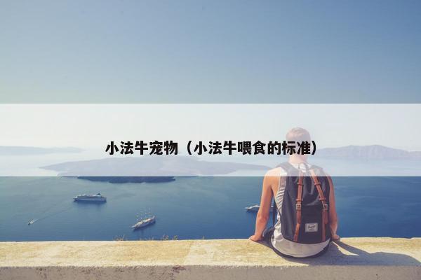 小法牛宠物(小法牛喂食的标准)