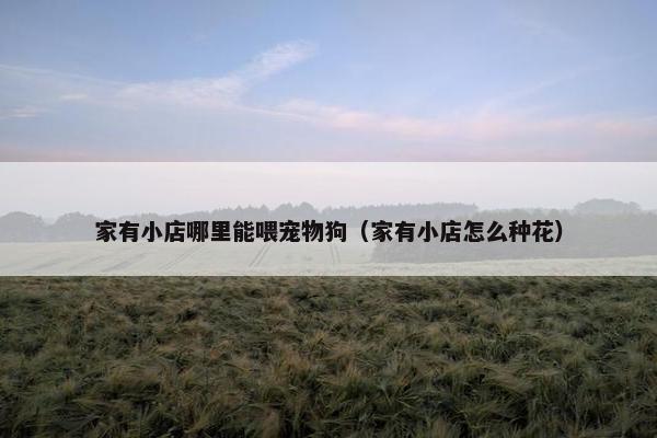家有小店哪里能喂宠物狗(家有小店怎么种花)