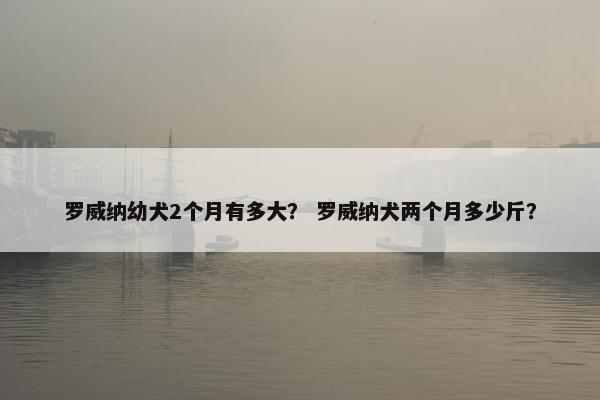 罗威纳幼犬2个月有多大? 罗威纳犬两个月多少斤?