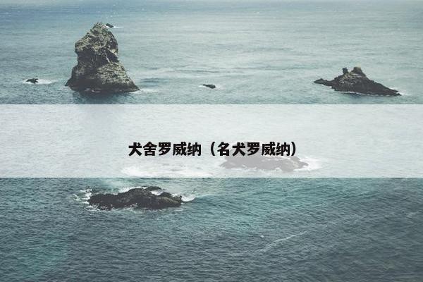 犬舍罗威纳(名犬罗威纳)