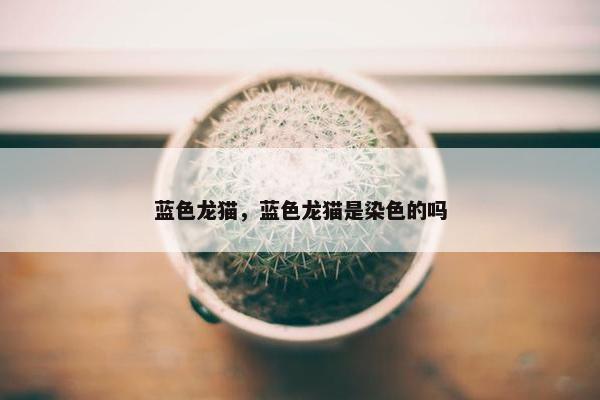 蓝色龙猫，蓝色龙猫是染色的吗