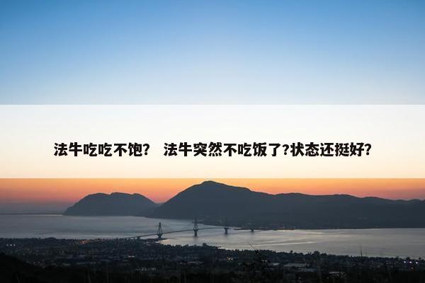 法牛吃吃不饱? 法牛突然不吃饭了?状态还挺好? 法牛吃吃不饱? 法牛突然不吃饭了?状态还挺好?