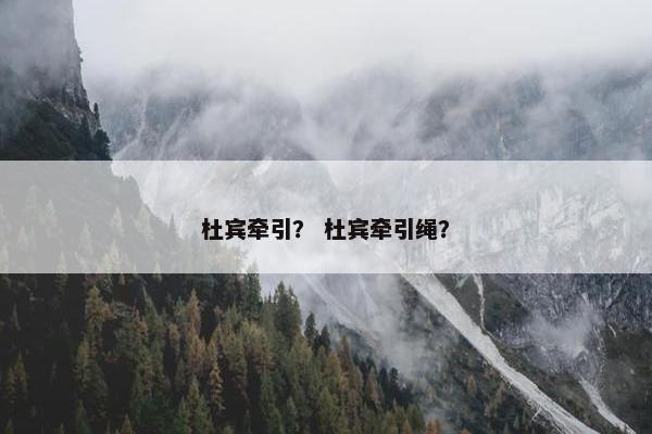杜宾牵引？ 杜宾牵引绳？