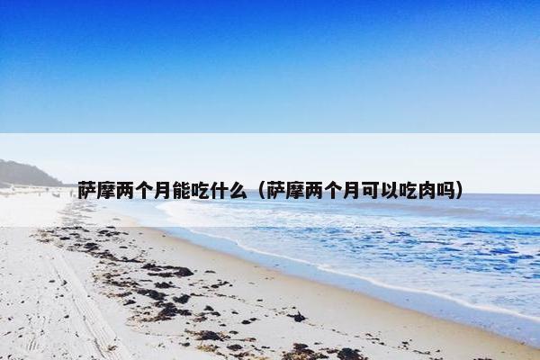 萨摩两个月能吃什么（萨摩两个月可以吃肉吗）
