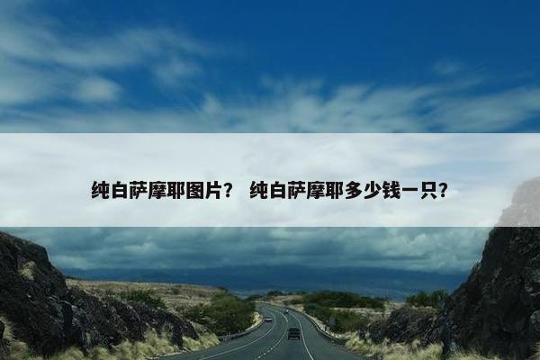 纯白萨摩耶图片？ 纯白萨摩耶多少钱一只？