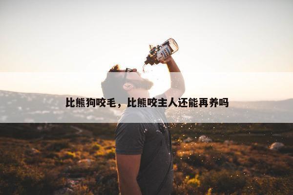 比熊狗咬毛，比熊咬主人还能再养吗