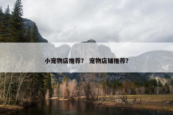 小宠物店推荐? 宠物店铺推荐?