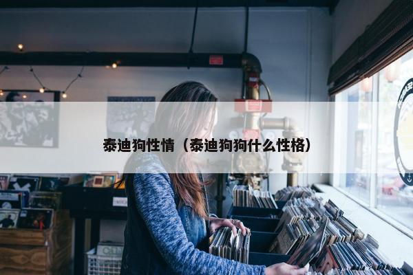 泰迪狗性情(泰迪狗狗什么性格)