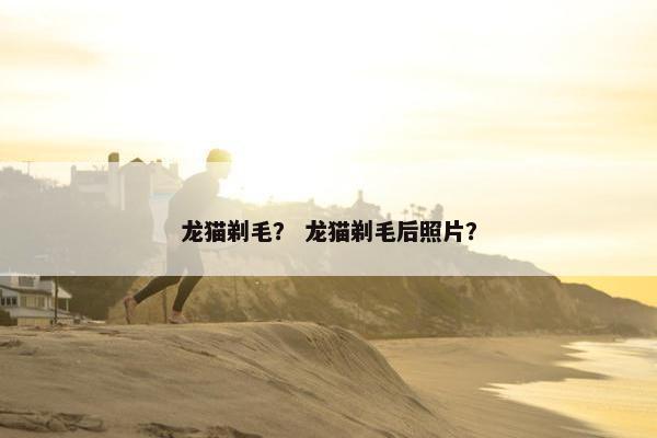 龙猫剃毛？ 龙猫剃毛后照片？