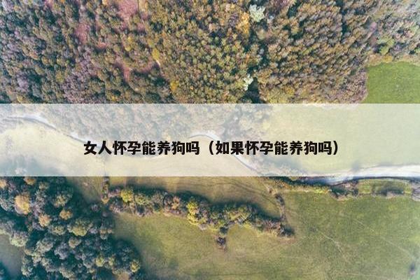 女人怀孕能养狗吗(如果怀孕能养狗吗)