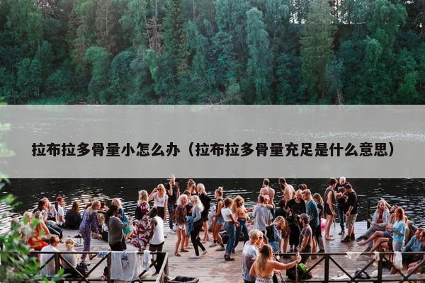 拉布拉多骨量小怎么办（拉布拉多骨量充足是什么意思）