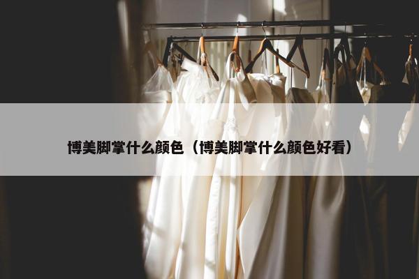 博美脚掌什么颜色（博美脚掌什么颜色好看）