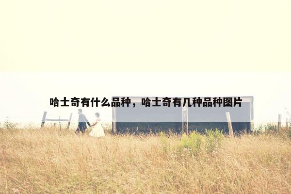 哈士奇有什么品种,哈士奇有几种品种图片