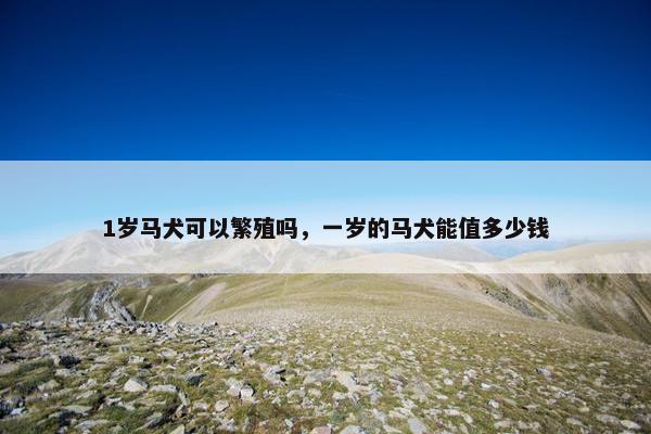 1岁马犬可以繁殖吗,一岁的马犬能值多少钱