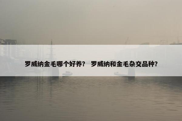 罗威纳金毛哪个好养? 罗威纳和金毛杂交品种?