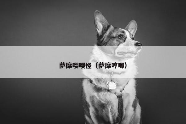 萨摩嘤嘤怪（萨摩哼唧）