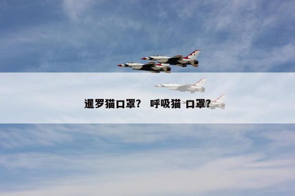 暹罗猫口罩？ 呼吸猫 口罩？