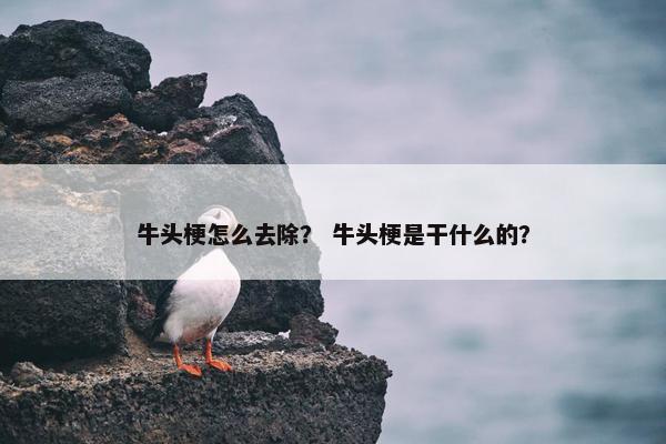 牛头梗怎么去除? 牛头梗是干什么的? 牛头梗怎么去除? 牛头梗是干什么的?