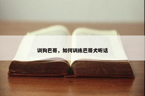 训狗巴哥，如何训练巴哥犬听话