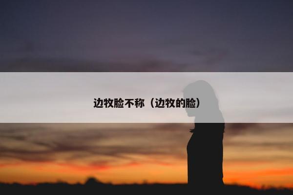 边牧脸不称（边牧的脸）