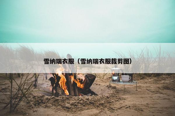 雪纳瑞衣服(雪纳瑞衣服裁剪图) 雪纳瑞衣服(雪纳瑞衣服裁剪图)