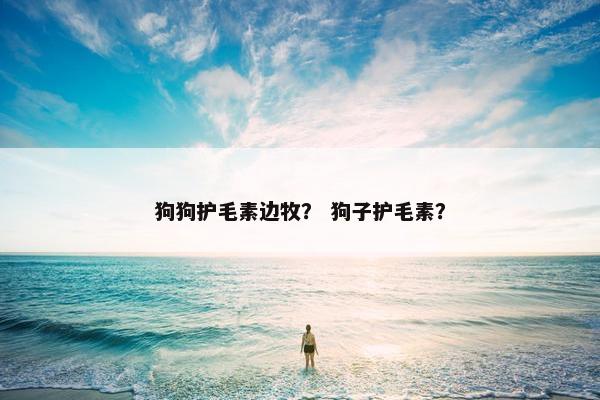 狗狗护毛素边牧？ 狗子护毛素？