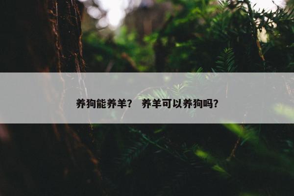养狗能养羊？ 养羊可以养狗吗？