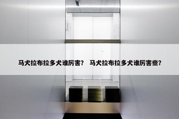 马犬拉布拉多犬谁厉害？ 马犬拉布拉多犬谁厉害些？