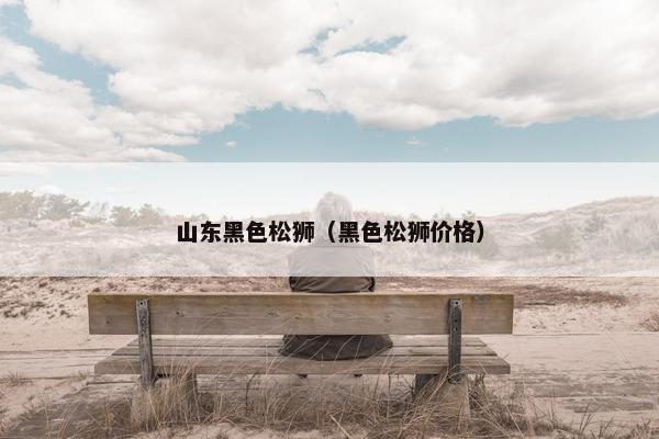 山东黑色松狮（黑色松狮价格）