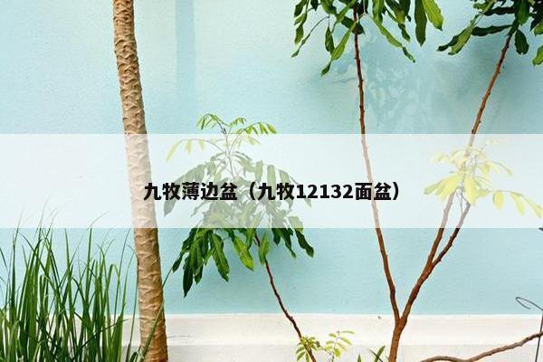 九牧薄边盆（九牧12132面盆）