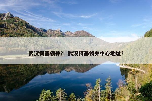 武汉柯基领养？ 武汉柯基领养中心地址？