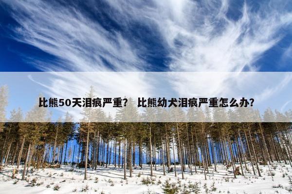 比熊50天泪痕严重？ 比熊幼犬泪痕严重怎么办？