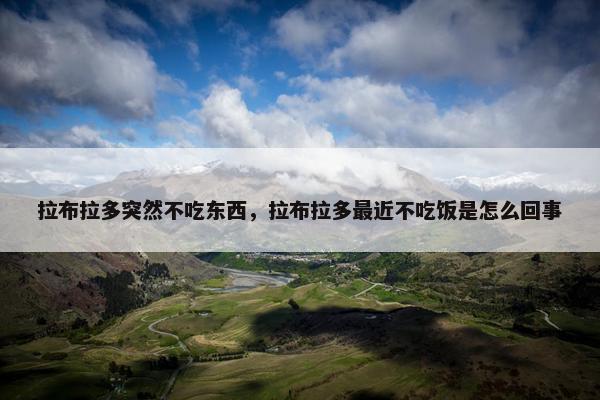 拉布拉多突然不吃东西，拉布拉多最近不吃饭是怎么回事