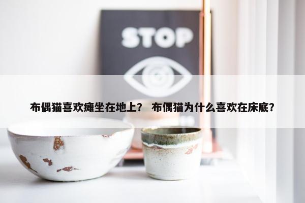 布偶猫喜欢瘫坐在地上? 布偶猫为什么喜欢在床底? 布偶猫喜欢瘫坐在地上? 布偶猫为什么喜欢在床底?