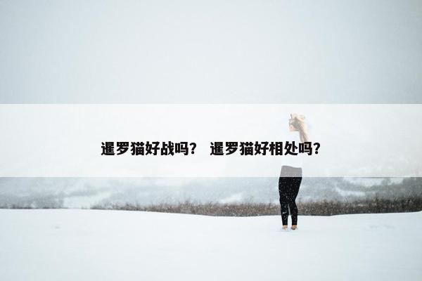 暹罗猫好战吗? 暹罗猫好相处吗? 暹罗猫好战吗? 暹罗猫好相处吗?