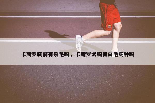 卡斯罗胸前有杂毛吗,卡斯罗犬胸有白毛纯种吗 卡斯罗胸前有杂毛吗,卡斯罗犬胸有白毛纯种吗