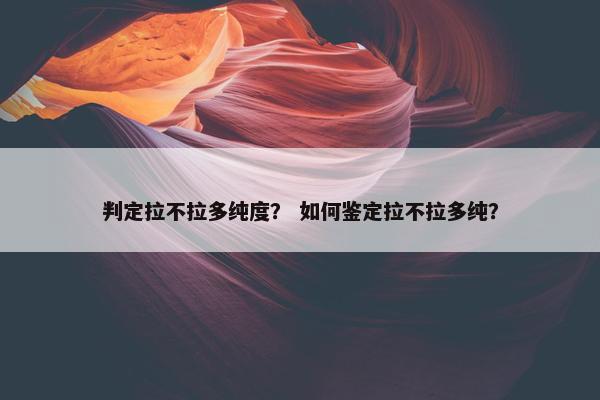 判定拉不拉多纯度? 如何鉴定拉不拉多纯? 判定拉不拉多纯度? 如何鉴定拉不拉多纯?