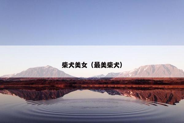 柴犬美女(最美柴犬)