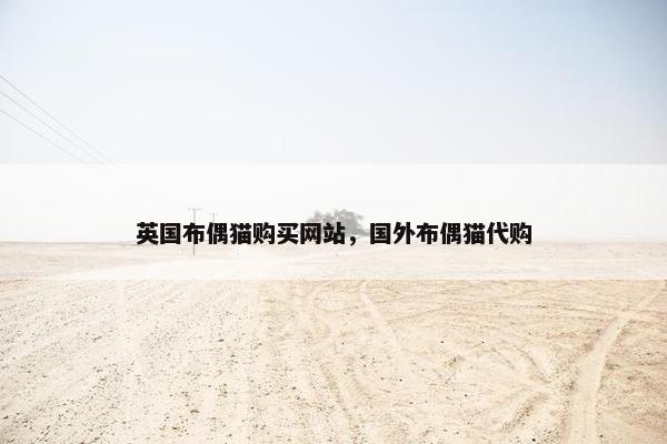 英国布偶猫购买网站，国外布偶猫代购